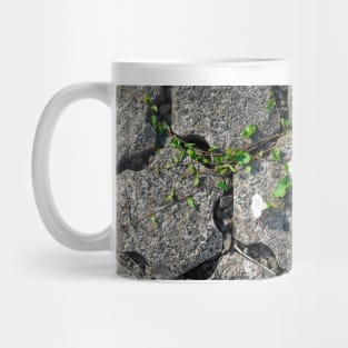 Between the stones 2 Mug